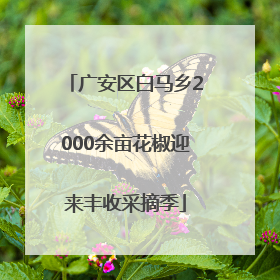 广安区白马乡2000余亩花椒迎来丰收采摘季