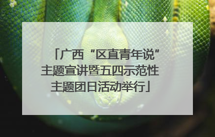 广西“区直青年说”主题宣讲暨五四示范性主题团日活动举行