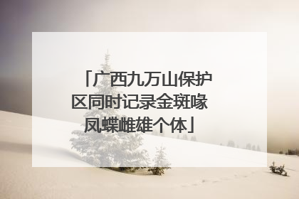 广西九万山保护区同时记录金斑喙凤蝶雌雄个体