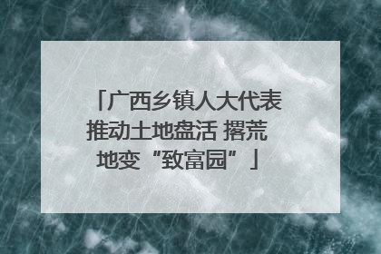 广西乡镇人大代表推动土地盘活 撂荒地变“致富园”