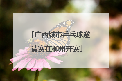 广西城市乒乓球邀请赛在柳州开赛