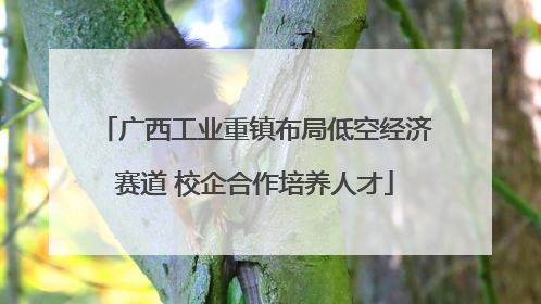 广西工业重镇布局低空经济赛道 校企合作培养人才