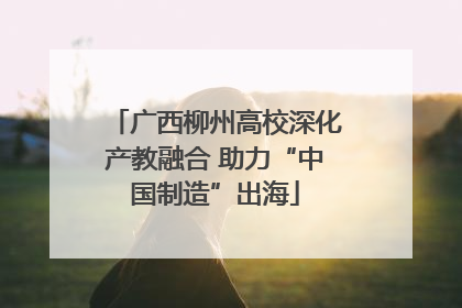 广西柳州高校深化产教融合 助力“中国制造”出海