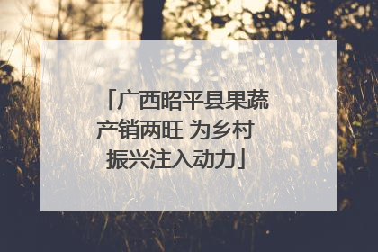 广西昭平县果蔬产销两旺 为乡村振兴注入动力