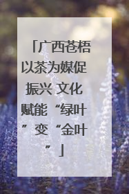广西苍梧以茶为媒促振兴 文化赋能“绿叶”变“金叶”
