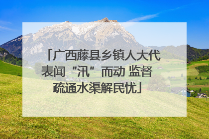 广西藤县乡镇人大代表闻“汛”而动 监督疏通水渠解民忧