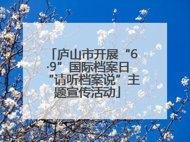 庐山市开展“6·9”国际档案日“请听档案说”主题宣传活动