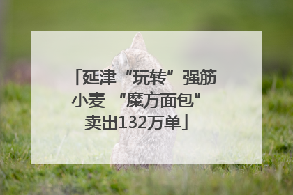 延津“玩转”强筋小麦 “魔方面包”卖出132万单