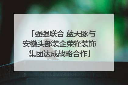 强强联合 蓝天豚与安徽头部装企荣锋装饰集团达成战略合作