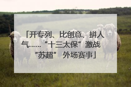 开专列、比创意、拼人气……“十三太保”激战“苏超” 外场赛事