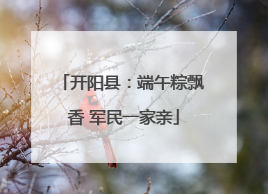 开阳县：端午粽飘香 军民一家亲
