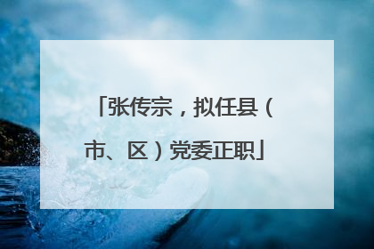 张传宗，拟任县（市、区）党委正职