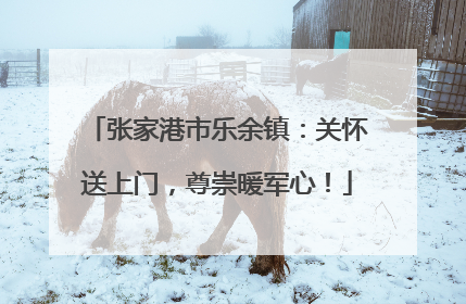 张家港市乐余镇：关怀送上门，尊崇暖军心！