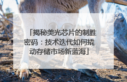 揭秘美光芯片的制胜密码：技术迭代如何撬动存储市场新蓝海