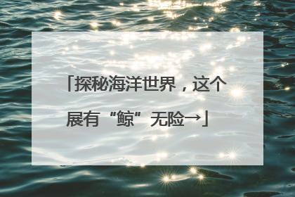 探秘海洋世界，这个展有“鲸”无险→