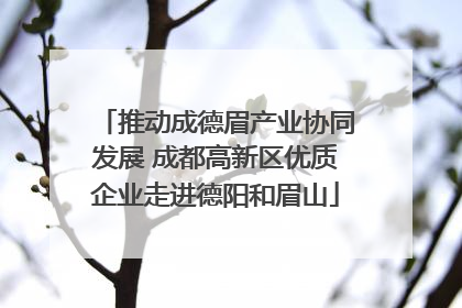 推动成德眉产业协同发展 成都高新区优质企业走进德阳和眉山