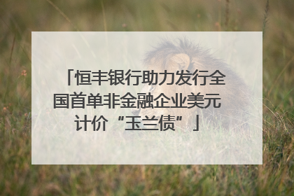 恒丰银行助力发行全国首单非金融企业美元计价“玉兰债”