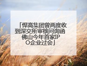 悍高集团曾两度收到深交所审核问询函 佛山今年首家IPO企业过会