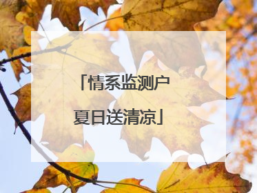 情系监测户 夏日送清凉