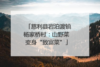 慈利县岩泊渡镇杨家桥村：山野菜变身“致富菜”