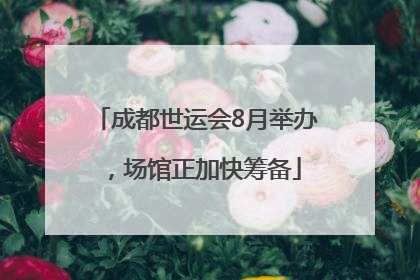 成都世运会8月举办，场馆正加快筹备