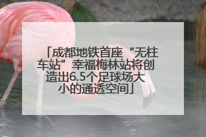 成都地铁首座“无柱车站”幸福梅林站将创造出6.5个足球场大小的通透空间