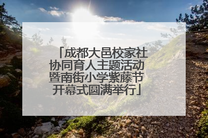 成都大邑校家社协同育人主题活动暨南街小学紫藤节开幕式圆满举行