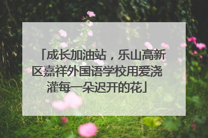 成长加油站，乐山高新区嘉祥外国语学校用爱浇灌每一朵迟开的花