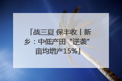 战三夏 保丰收丨新乡：中低产田“逆袭” 亩均增产15%