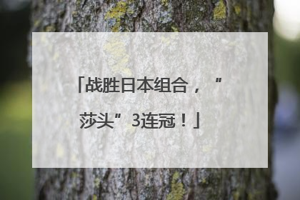 战胜日本组合，“莎头”3连冠！