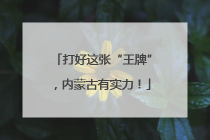 打好这张“王牌”，内蒙古有实力！