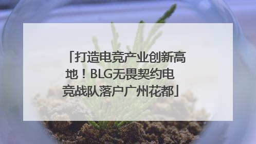 打造电竞产业创新高地！BLG无畏契约电竞战队落户广州花都