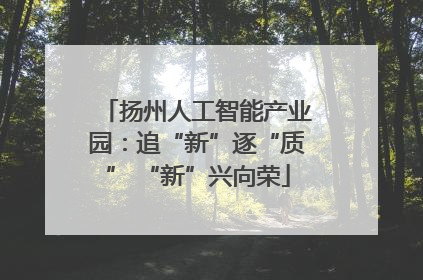 扬州人工智能产业园：追“新”逐“质” “新”兴向荣