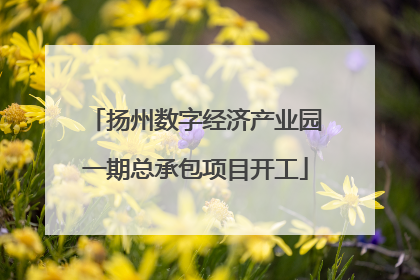扬州数字经济产业园一期总承包项目开工