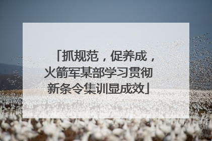 抓规范，促养成，火箭军某部学习贯彻新条令集训显成效