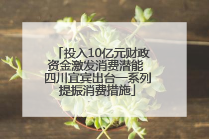 投入10亿元财政资金激发消费潜能 四川宜宾出台一系列提振消费措施