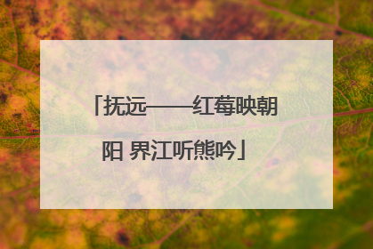 抚远——红莓映朝阳 界江听熊吟