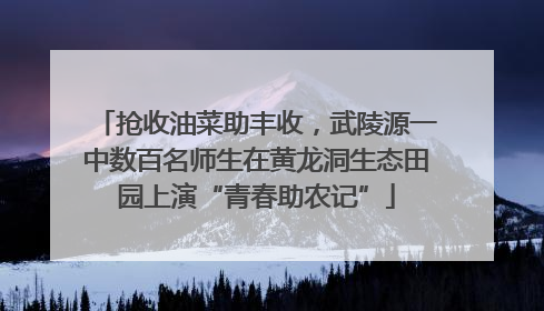 抢收油菜助丰收，武陵源一中数百名师生在黄龙洞生态田园上演“青春助农记”