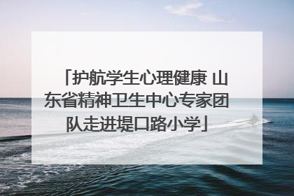 护航学生心理健康 山东省精神卫生中心专家团队走进堤口路小学