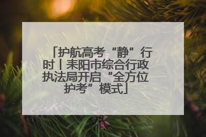 护航高考“静”行时丨耒阳市综合行政执法局开启“全方位护考”模式