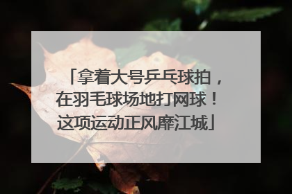 拿着大号乒乓球拍，在羽毛球场地打网球！这项运动正风靡江城