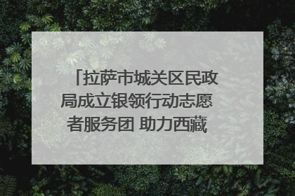 拉萨市城关区民政局成立银领行动志愿者服务团 助力西藏银发经济发展