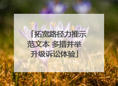 拓宽路径力推示范文本 多措并举升级诉讼体验