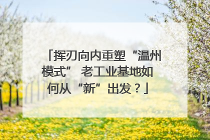 挥刃向内重塑“温州模式” 老工业基地如何从“新”出发？
