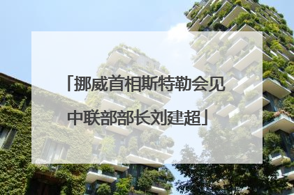 挪威首相斯特勒会见中联部部长刘建超