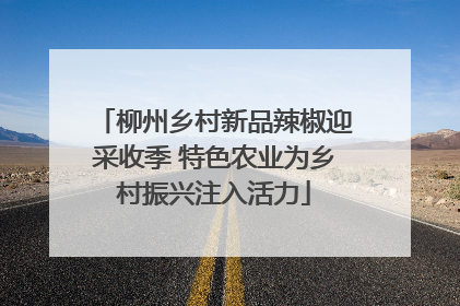 柳州乡村新品辣椒迎采收季 特色农业为乡村振兴注入活力