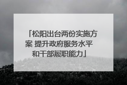 松阳出台两份实施方案 提升政府服务水平和干部履职能力