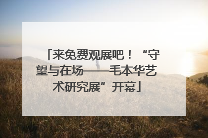 来免费观展吧！“守望与在场——毛本华艺术研究展”开幕