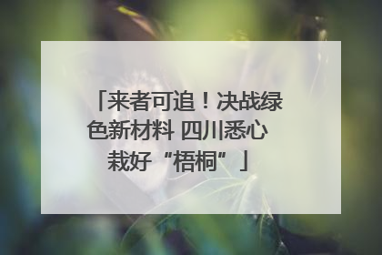 来者可追！决战绿色新材料 四川悉心栽好“梧桐”