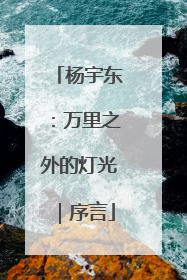 杨宇东：万里之外的灯光｜序言